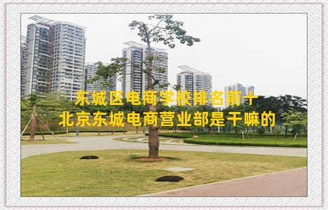 东城区电商学校排名前十 北京东城电商营业部是干嘛的